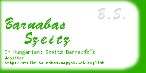 barnabas szeitz business card